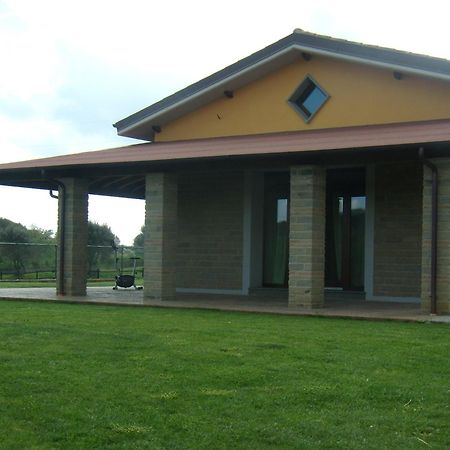 Agriturismo L.B.Stud Bracciano  Ngoại thất bức ảnh