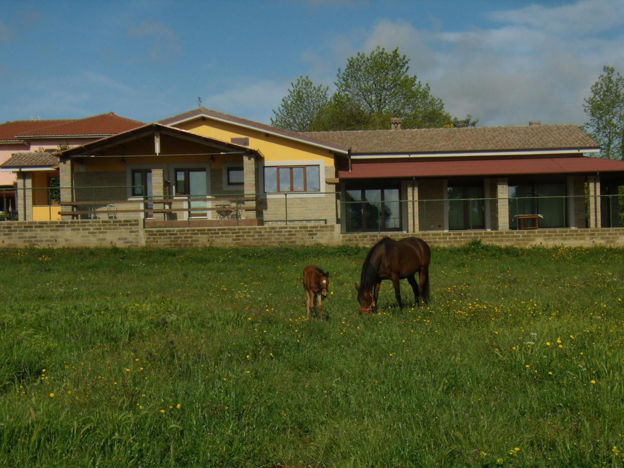 Agriturismo L.B.Stud Bracciano  Ngoại thất bức ảnh