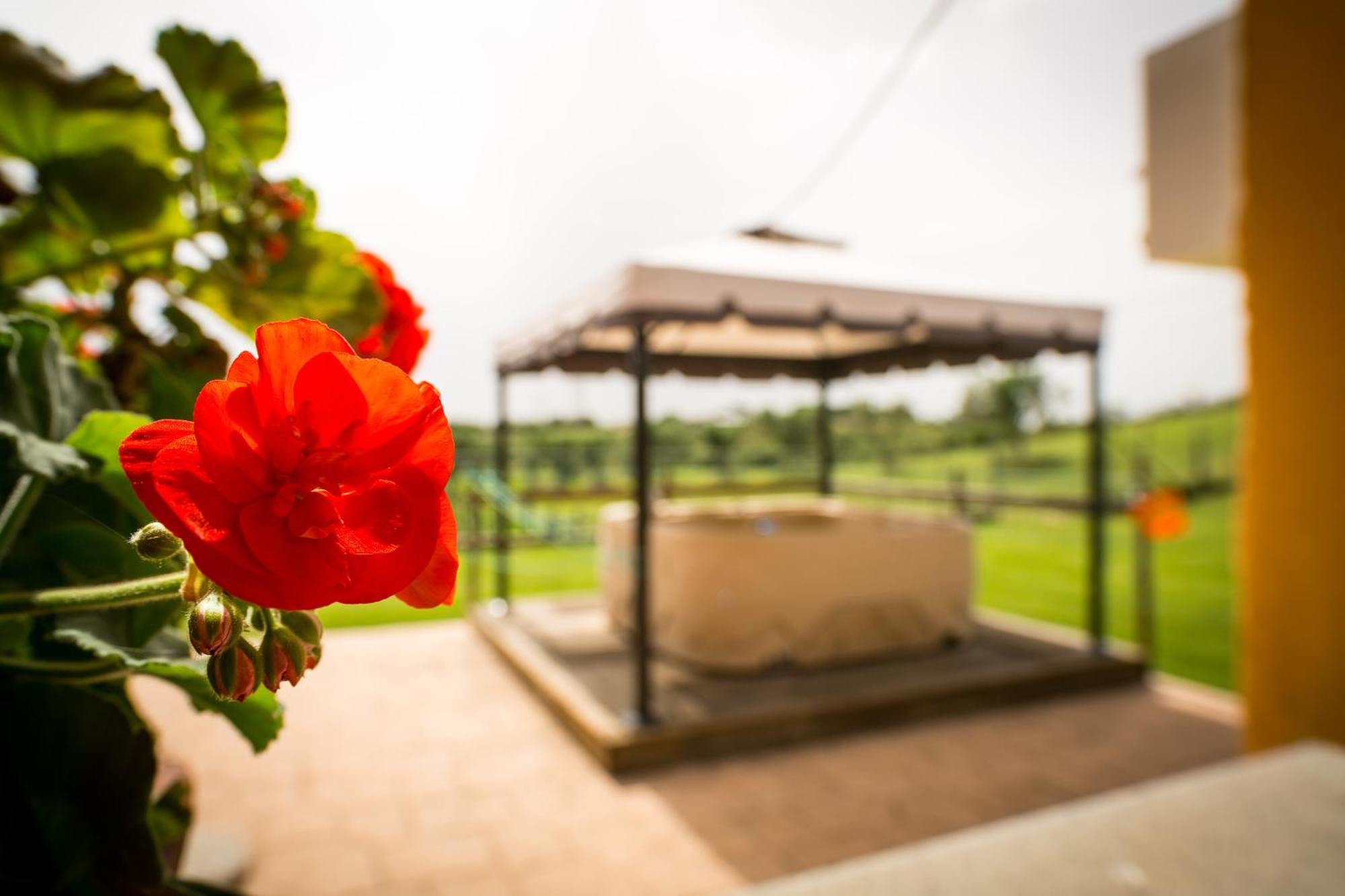 Agriturismo L.B.Stud Bracciano  Phòng bức ảnh
