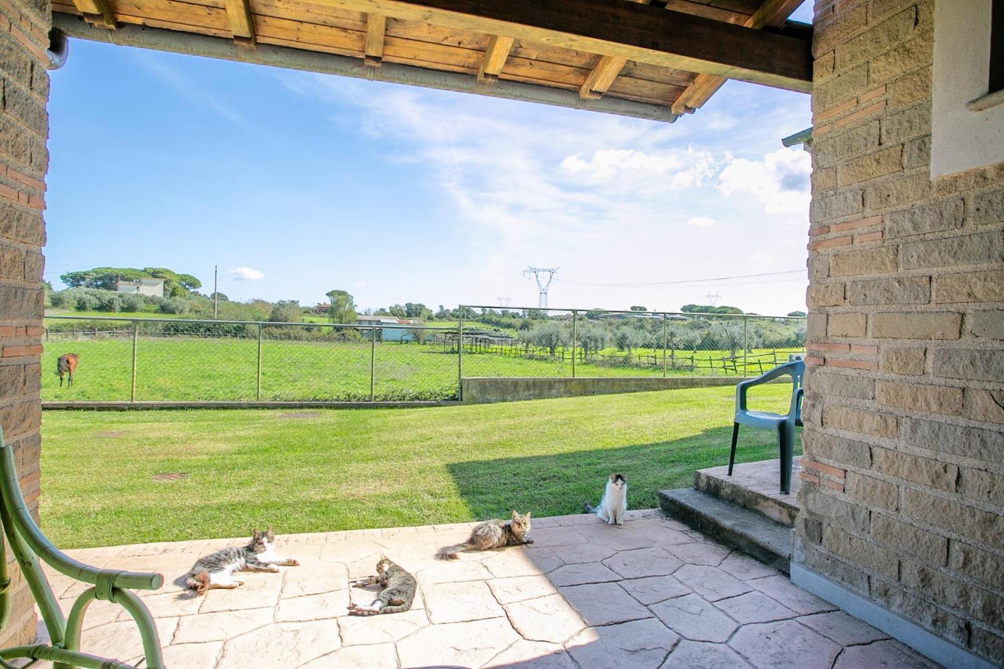 Agriturismo L.B.Stud Bracciano  Ngoại thất bức ảnh