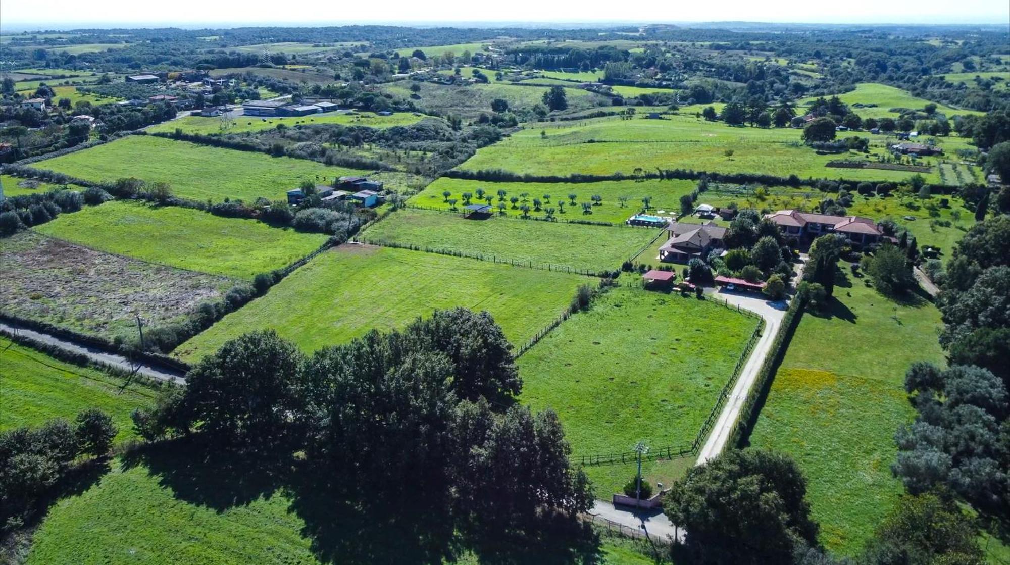 Agriturismo L.B.Stud Bracciano  Ngoại thất bức ảnh