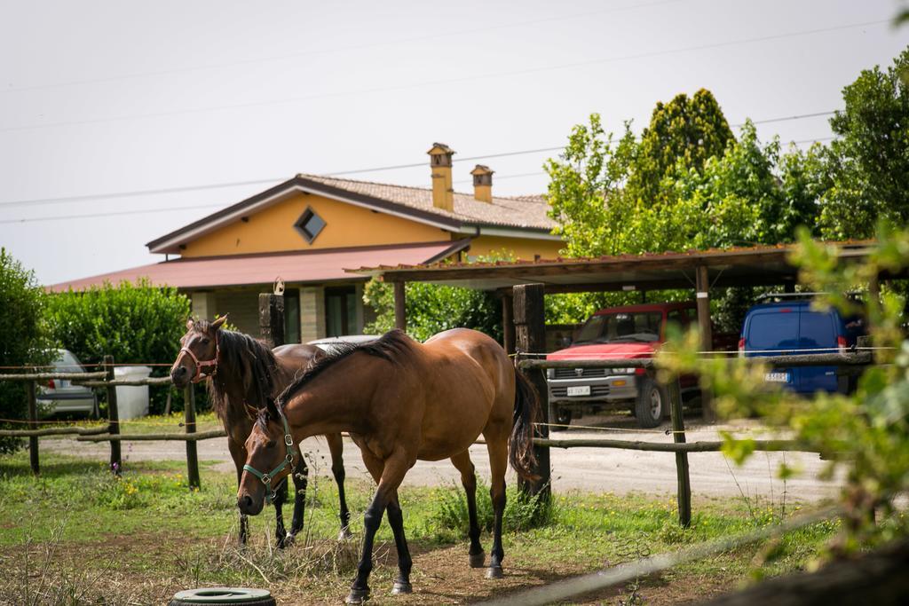 Agriturismo L.B.Stud Bracciano  Ngoại thất bức ảnh